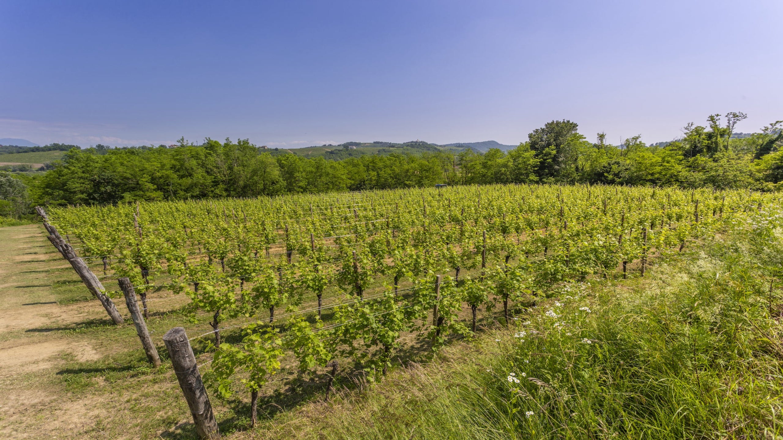 Wine tasting - Spolert