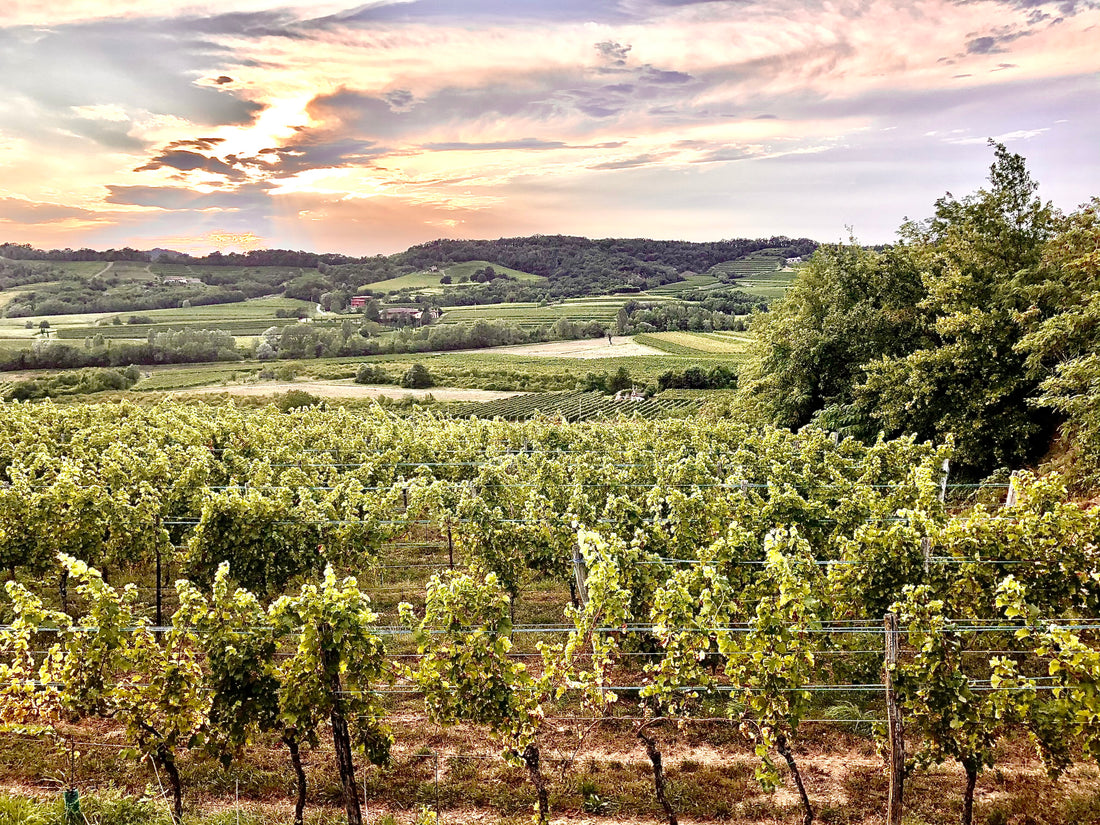 Nomina sunt Omina: “Il tocai al guaris ducj i mai”.