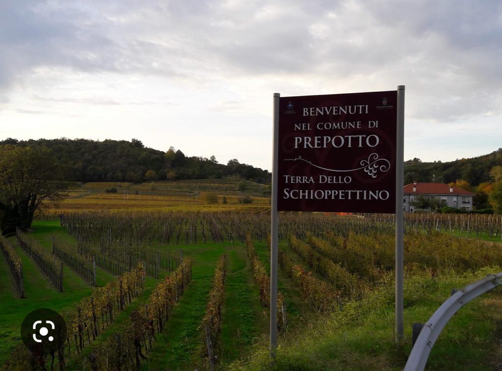 Marcia dello Schioppettino: 19 febbraio 2023