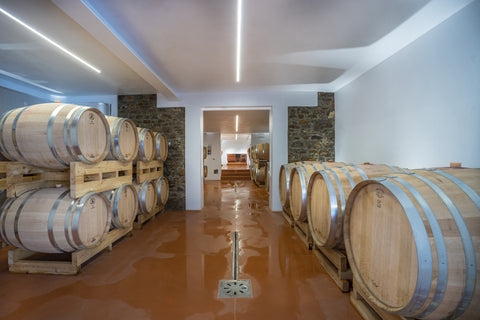 Degustazione vino