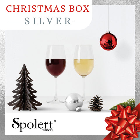 Christmas Box Silver